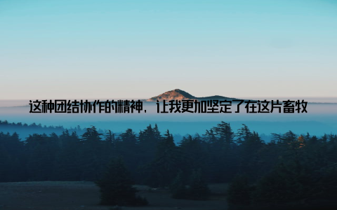 这种团结协作的精神, 让我更加坚定了在这片畜牧沃土上耕耘的决心此外, 北京畜牧集团还为我们提供了良好的培训机会