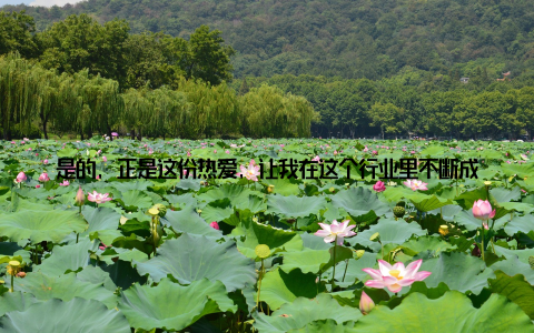 是的, 正是这份热爱, 让我在这个行业里不断成长, 不断进步站在新的起点上, 我期待着与更多的同行一起, 用我们的智慧和力量, 推动国际畜牧设备行业走向更加辉煌的未来