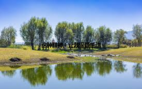 这种精神, 让我深受感动