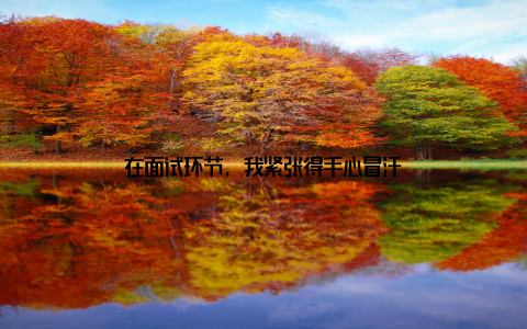 在面试环节, 我紧张得手心冒汗