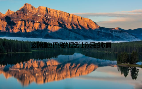 这种绿色环保的理念让我深感敬佩