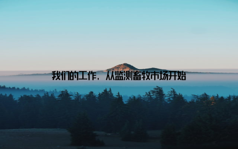 我们的工作, 从监测畜牧市场开始