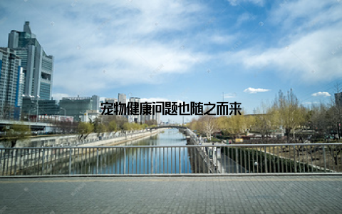 宠物健康问题也随之而来