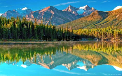 再者, 是市场拓展