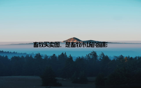 畜牧买卖图, 是畜牧市场的缩影