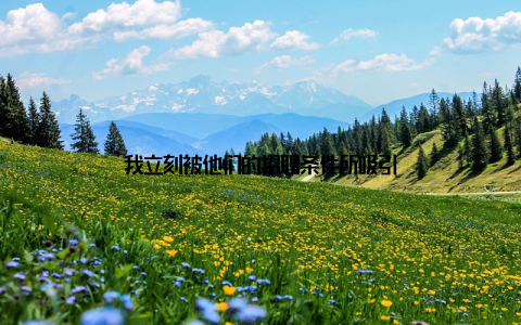 我立刻被他们的招聘条件所吸引