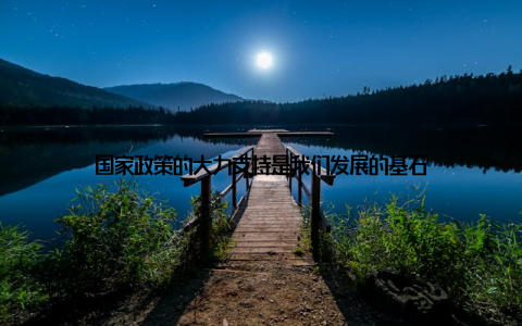 国家政策的大力支持是我们发展的基石