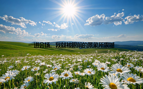 一进会场, 我就被眼前的景象所震撼