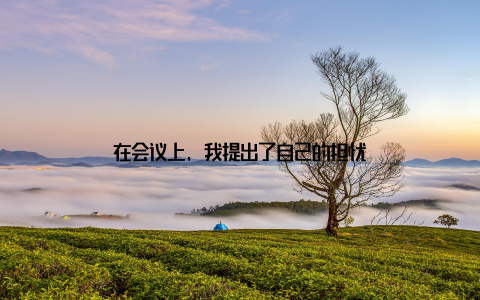 在会议上, 我提出了自己的担忧