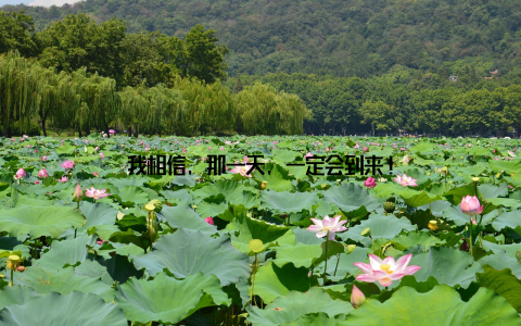 我相信, 那一天, 一定会到来!