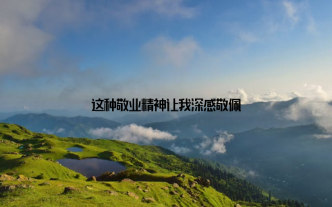 这种敬业精神让我深感敬佩