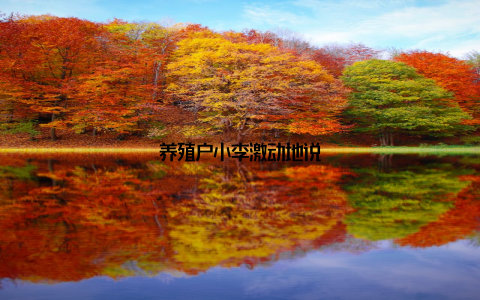 养殖户小李激动地说