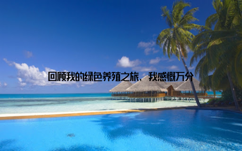 回顾我的绿色养殖之旅, 我感慨万分