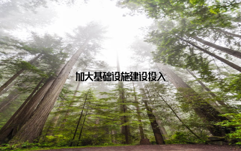 加大基础设施建设投入