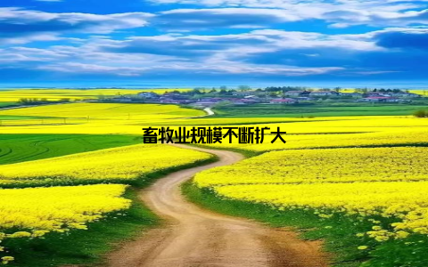 畜牧业规模不断扩大