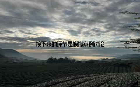 接下来的环节是模拟案例讨论