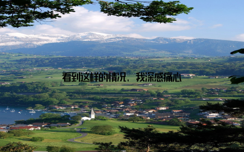 看到这样的情况, 我深感痛心