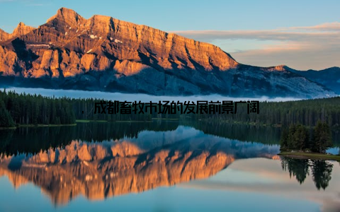 , 成都畜牧市场的发展前景广阔