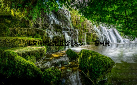 本文将带您走进洛阳大发, 一探究竟