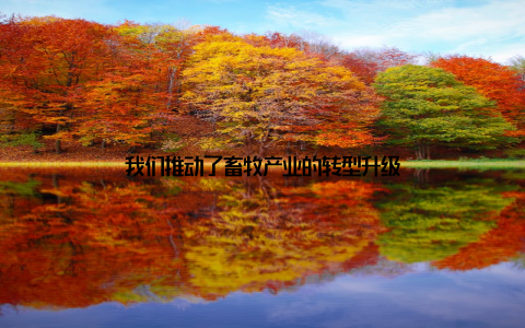 我们推动了畜牧产业的转型升级