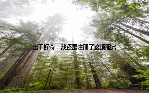 出于好奇, 我还是注册了这项服务