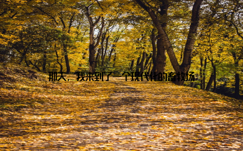 那天, 我来到了一个现代化的畜牧场