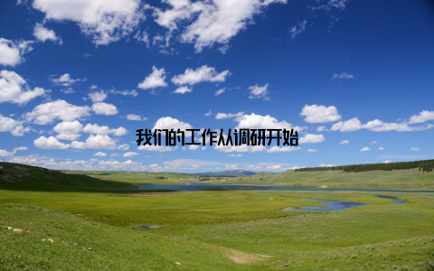 我们的工作从调研开始