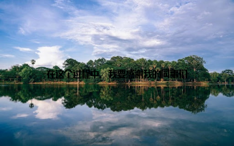 在这个过程中, 我要感谢我的同事们