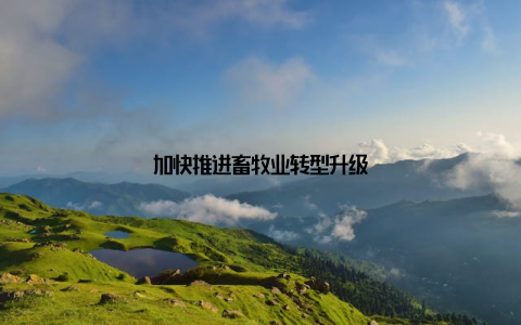 加快推进畜牧业转型升级