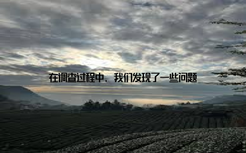 在调查过程中, 我们发现了一些问题