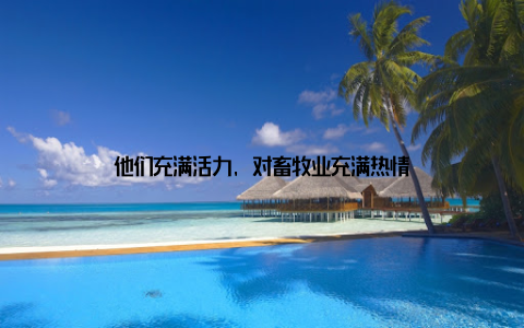 他们充满活力, 对畜牧业充满热情