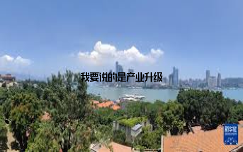 我要说的是产业升级