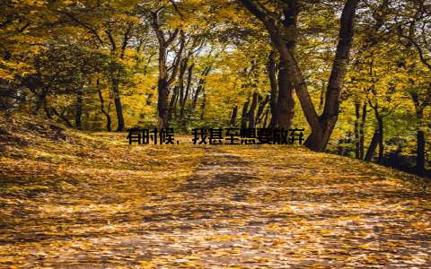 有时候, 我甚至想要放弃