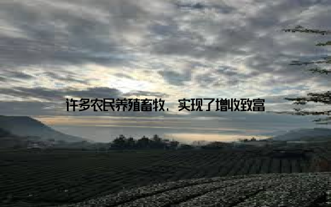 许多农民养殖畜牧, 实现了增收致富