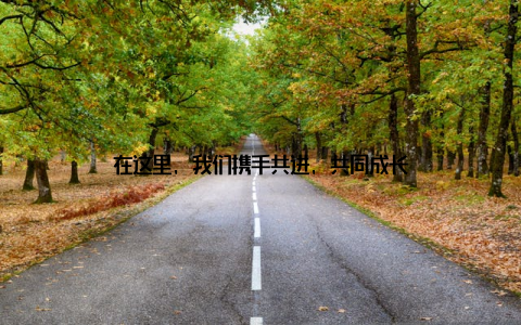 在这里, 我们携手共进, 共同成长