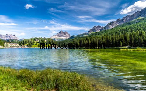 展馆内人头攒动, 热闹非凡