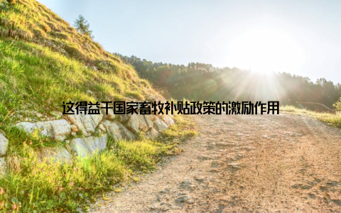 这得益于国家畜牧补贴政策的激励作用