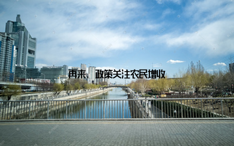 再来, 政策关注农民增收