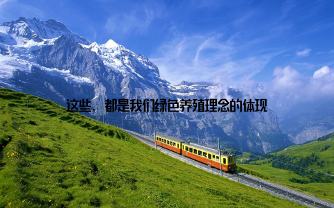 这些, 都是我们绿色养殖理念的体现