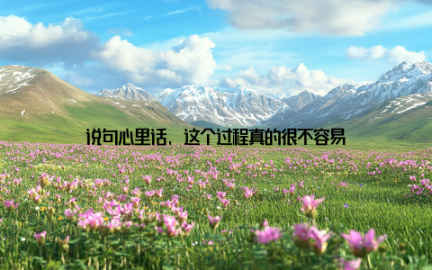 说句心里话, 这个过程真的很不容易