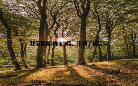 我带着喜悦的心情, 来到了村委会