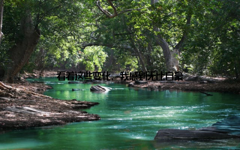 看着这些变化, 我感到无比自豪