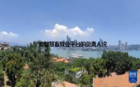 宁波智慧畜牧业平台的负责人说