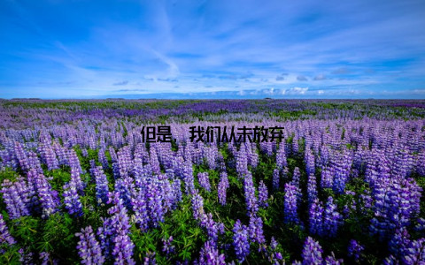 但是, 我们从未放弃