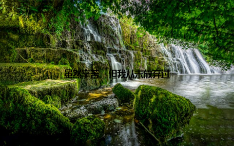 虽然辛苦, 但我从未放弃过