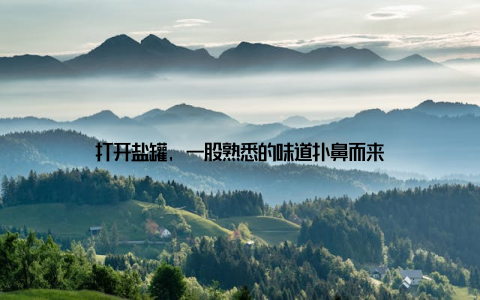 打开盐罐, 一股熟悉的味道扑鼻而来