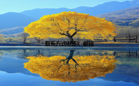 联系方式电话X–邮箱