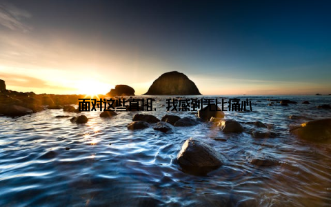 面对这些真相, 我感到无比痛心