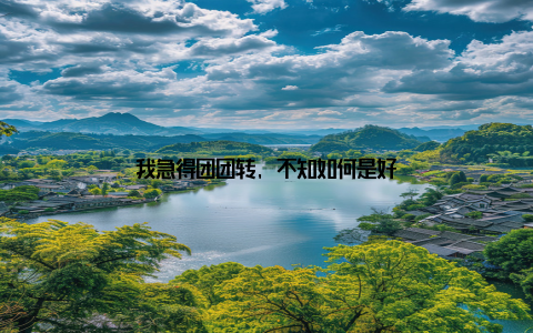 我急得团团转, 不知如何是好