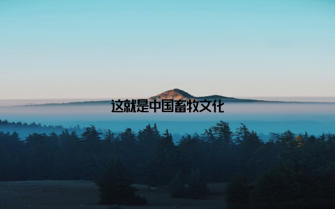 这就是中国畜牧文化